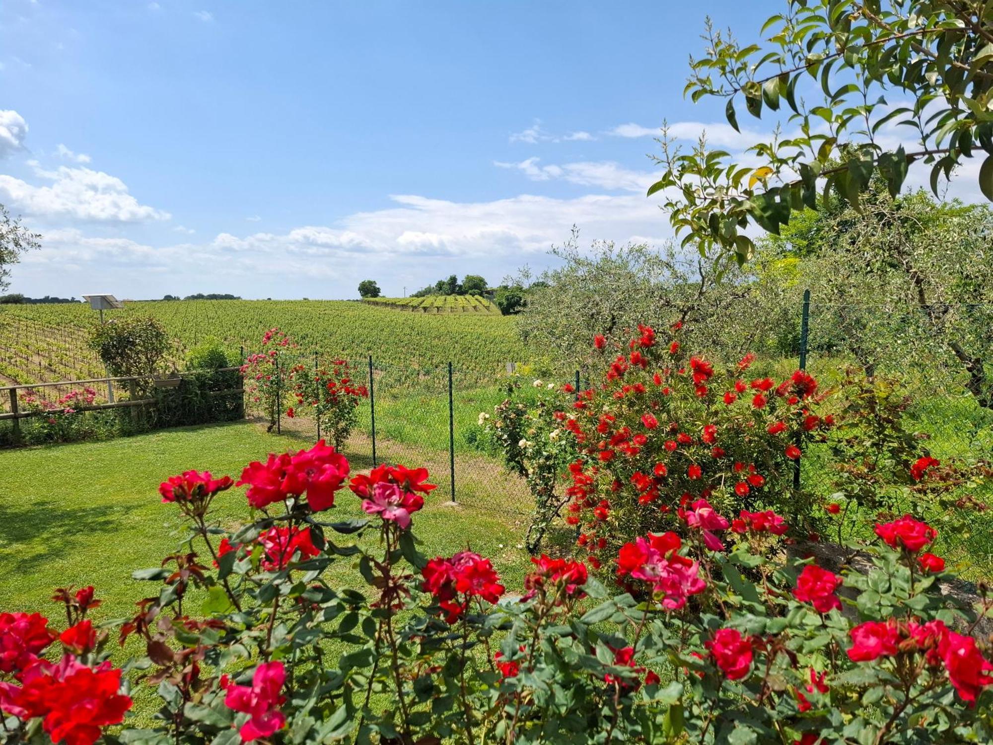 Villa Poggio Bardolino Extérieur photo