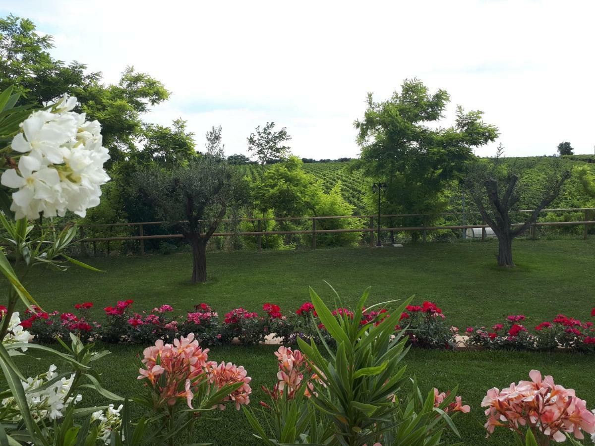 Villa Poggio Bardolino Extérieur photo