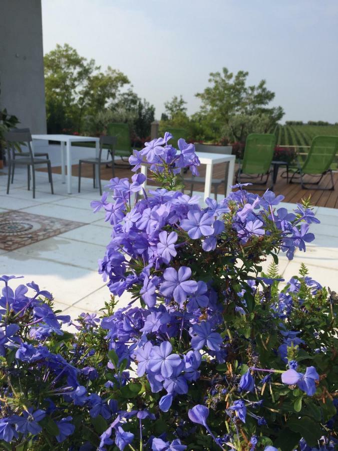 Villa Poggio Bardolino Extérieur photo